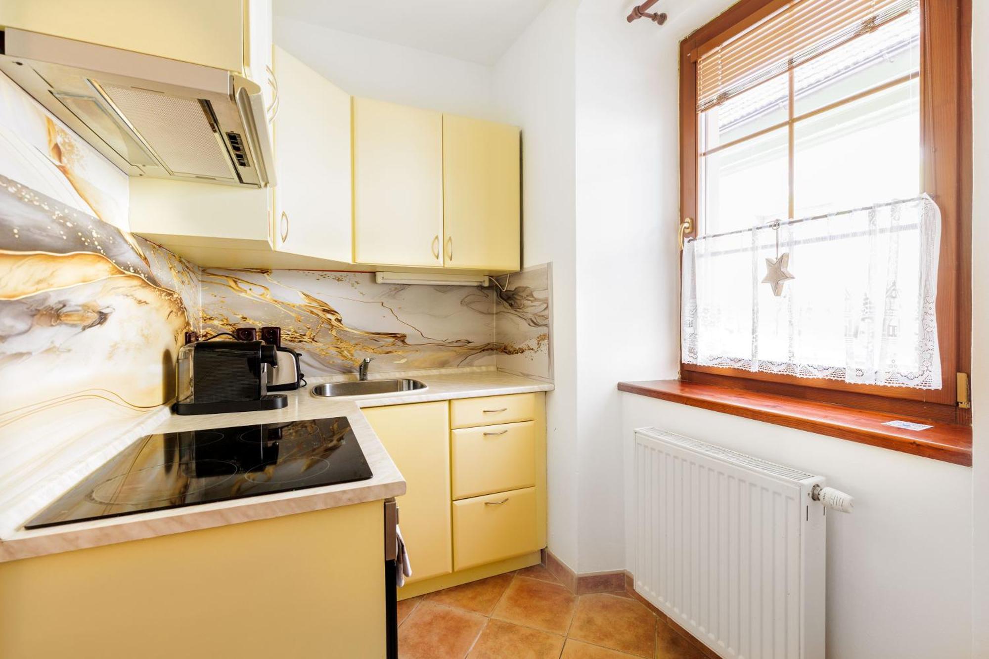 Apartment Apartman V Centru